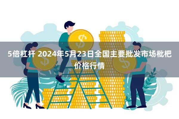 5倍杠杆 2024年5月23日全国主要批发市场枇杷价格行情