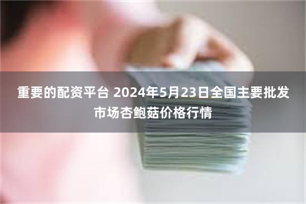 重要的配资平台 2024年5月23日全国主要批发市场杏鲍菇价格行情