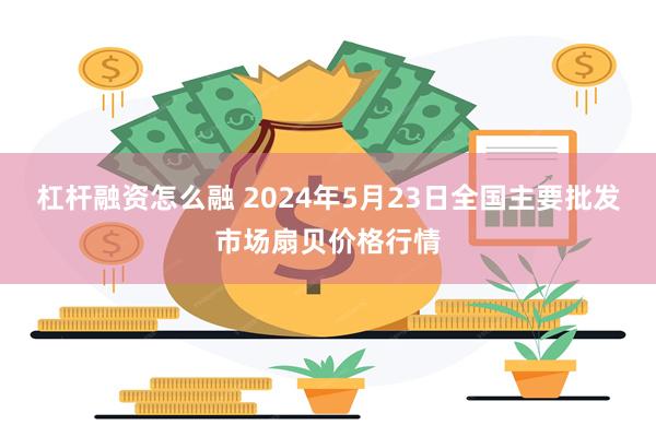 杠杆融资怎么融 2024年5月23日全国主要批发市场扇贝价格行情