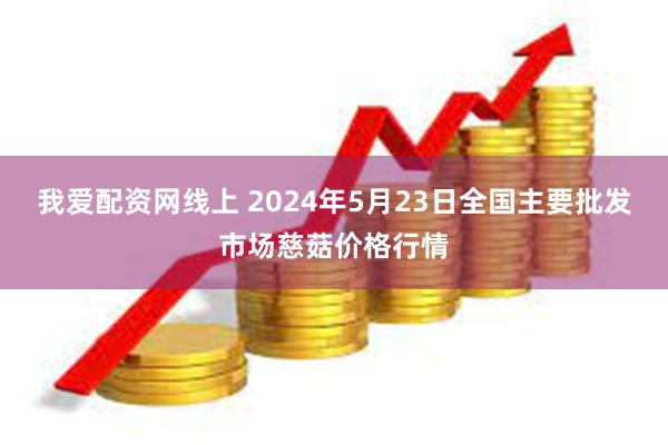 我爱配资网线上 2024年5月23日全国主要批发市场慈菇价格行情