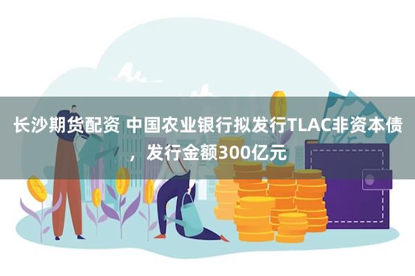 长沙期货配资 中国农业银行拟发行TLAC非资本债，发行金额300亿元