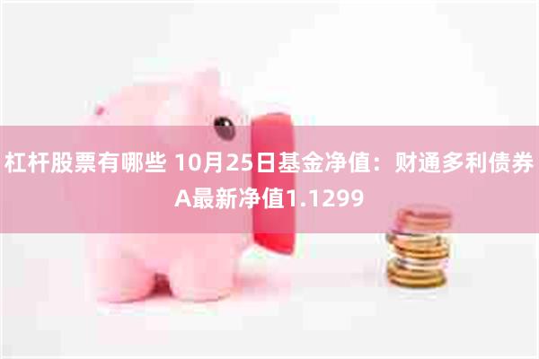 杠杆股票有哪些 10月25日基金净值：财通多利债券A最新净值1.1299