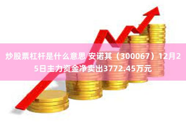 炒股票杠杆是什么意思 安诺其（300067）12月25日主力资金净卖出3772.45万元