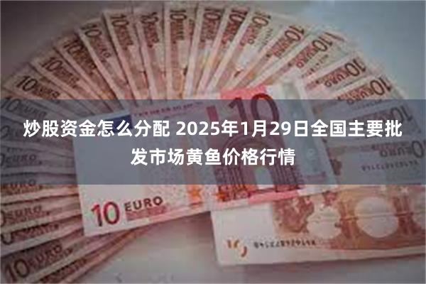 炒股资金怎么分配 2025年1月29日全国主要批发市场黄鱼价格行情