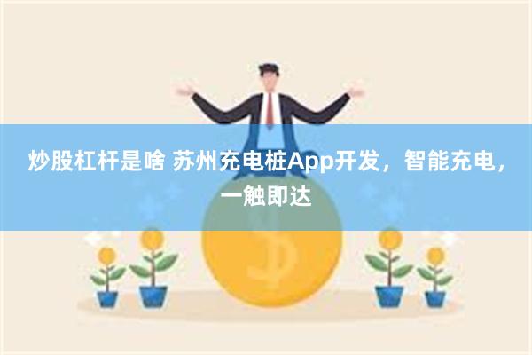 炒股杠杆是啥 苏州充电桩App开发，智能充电，一触即达